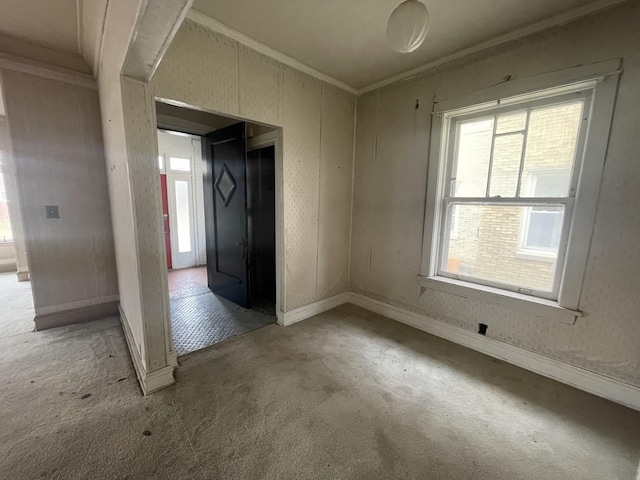 spare room featuring carpet, ornamental molding, and a wealth of natural light