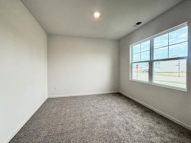 spare room with carpet floors