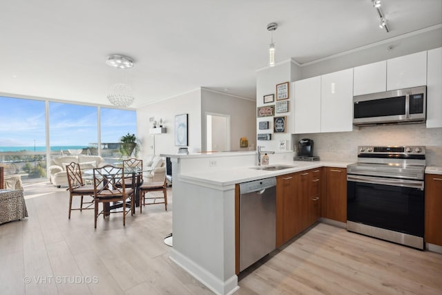 kitchen with crown molding, stainless steel appliances, tasteful backsplash, a sink, and a peninsula