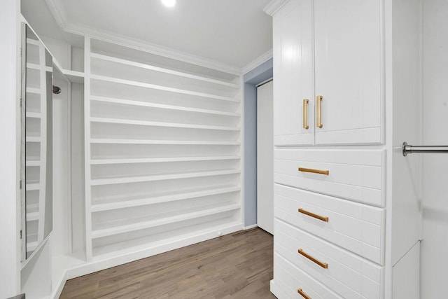 walk in closet featuring wood-type flooring