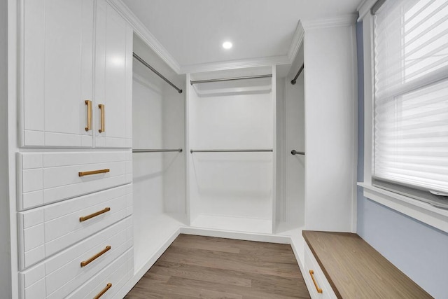 spacious closet with light hardwood / wood-style flooring