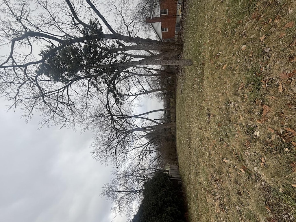 5513 Fairview Ave, Downers Grove, IL 60516 - photo 2