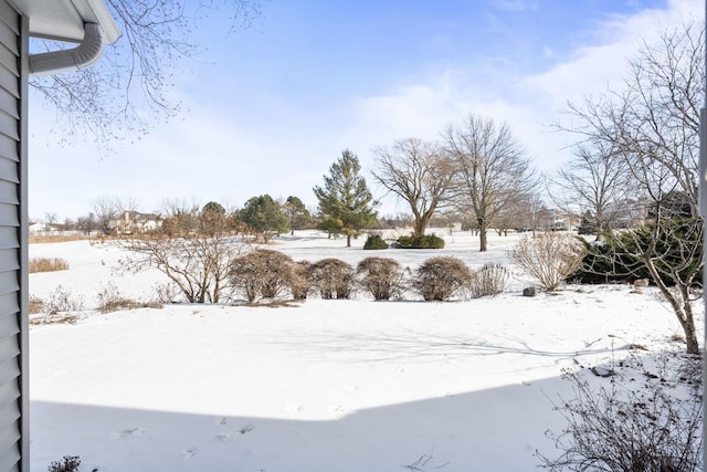 view of yard layered in snow