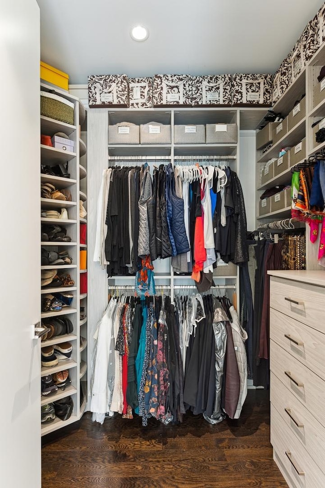 spacious closet with dark hardwood / wood-style flooring