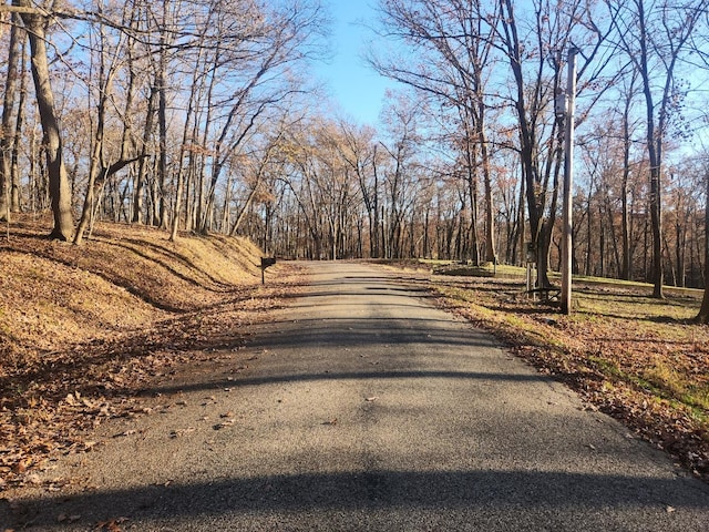 Listing photo 3 for LOT1829 Tanglewood Dr, Varna IL 61375