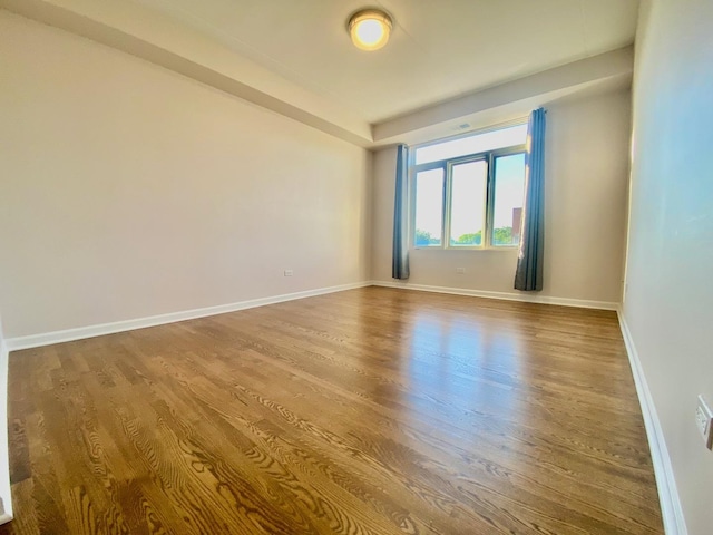 empty room with wood-type flooring