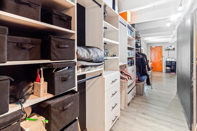 walk in closet with light wood-type flooring