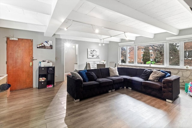 living room with hardwood / wood-style floors, rail lighting, and beamed ceiling