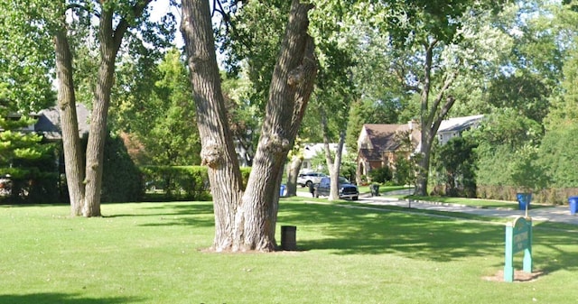 view of home's community featuring a lawn