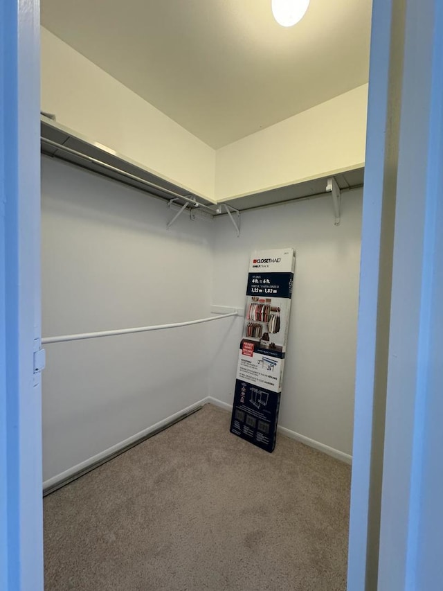 walk in closet with light carpet