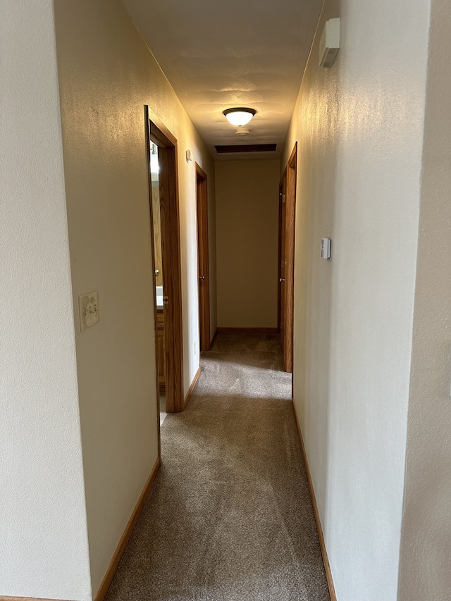 corridor with light colored carpet