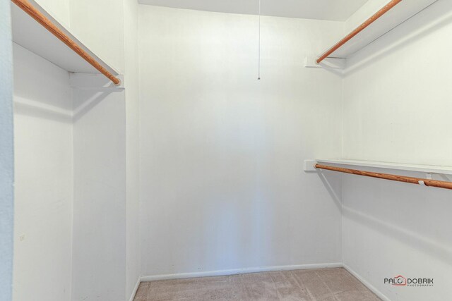 spacious closet featuring light carpet