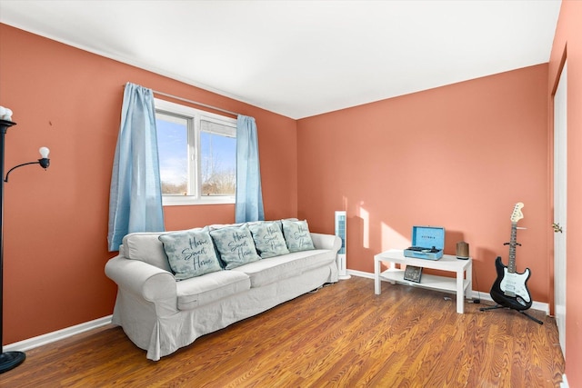 living room featuring wood-type flooring