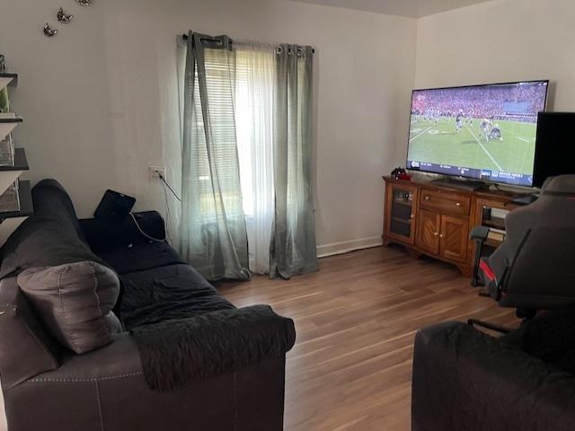 living room featuring light hardwood / wood-style flooring