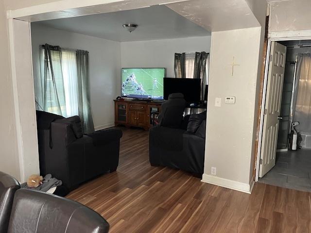 living room featuring dark hardwood / wood-style flooring