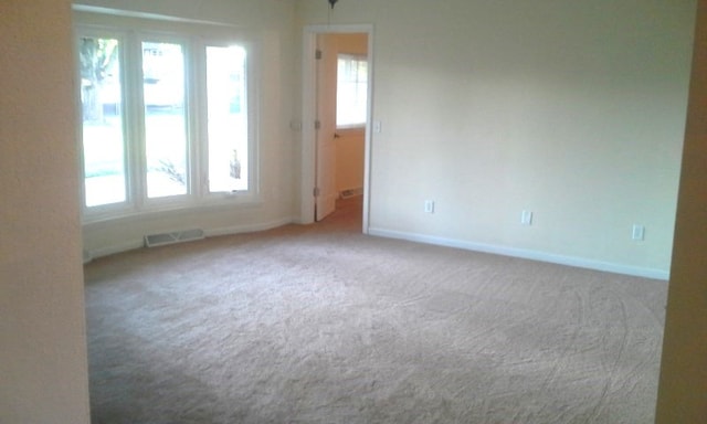 carpeted empty room featuring a wealth of natural light