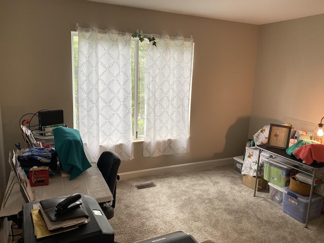 carpeted office with plenty of natural light