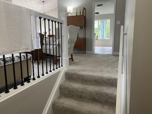 stairway with carpet flooring