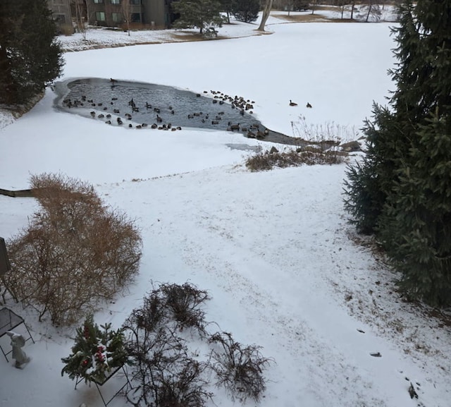 view of yard layered in snow