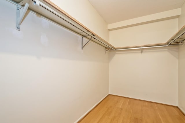 walk in closet with hardwood / wood-style flooring