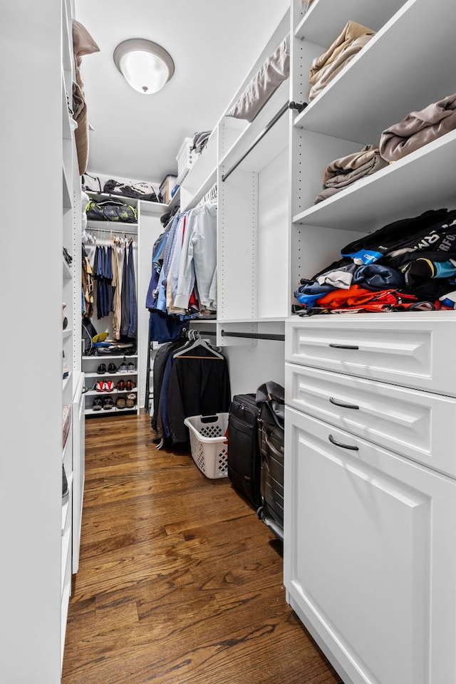 spacious closet with dark hardwood / wood-style flooring