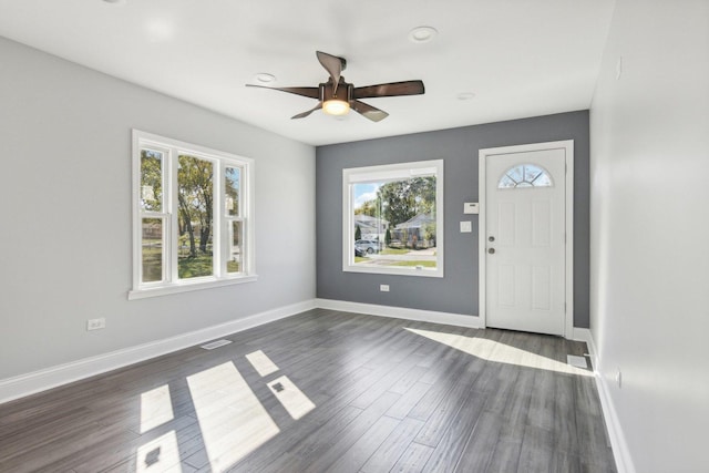 foyer featuring ceiling fan, plenty of natural light, and dark wood-type flooring