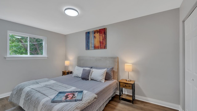 bedroom with wood-type flooring and a closet