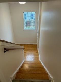 stairway featuring hardwood / wood-style floors