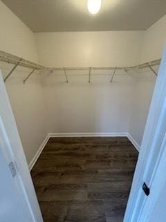 walk in closet with dark hardwood / wood-style floors