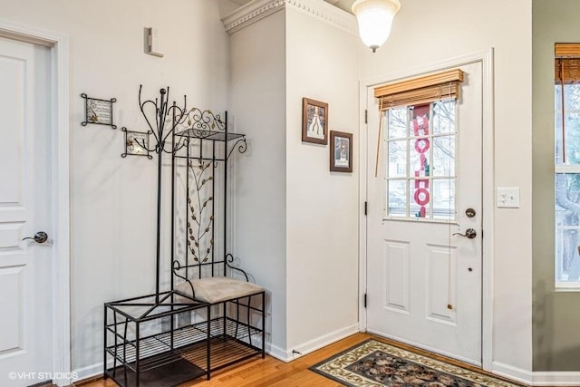 entrance foyer featuring wood-type flooring