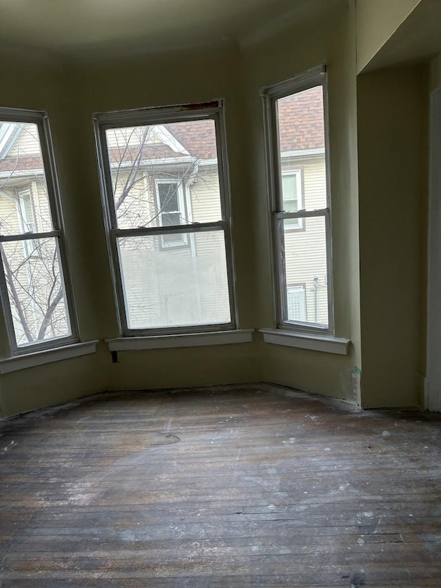 empty room featuring dark hardwood / wood-style flooring