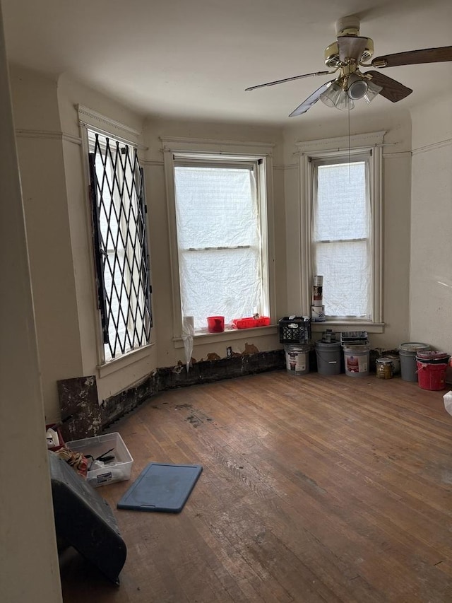 misc room with ceiling fan, a healthy amount of sunlight, and wood-type flooring