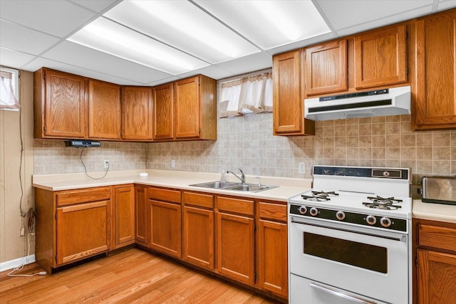 kitchen featuring backsplash, a drop ceiling, sink, light hardwood / wood-style flooring, and white stove