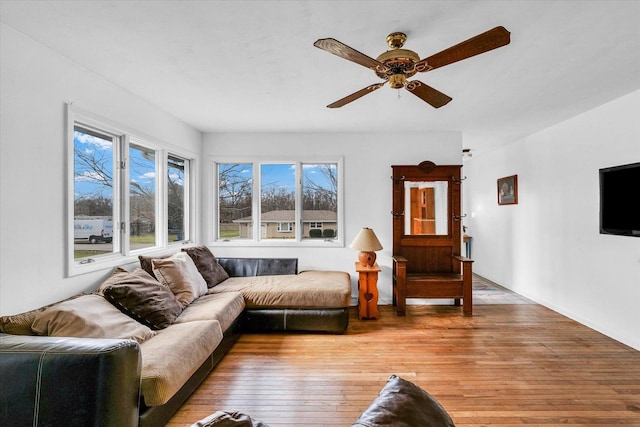 living room with ceiling fan and light hardwood / wood-style floors