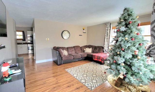 living room with a healthy amount of sunlight and light wood-type flooring