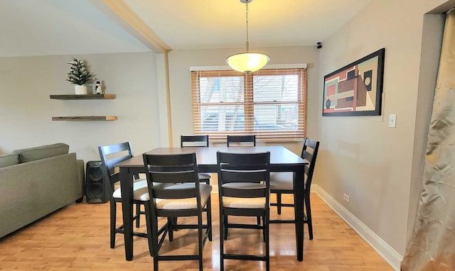 dining room with light hardwood / wood-style floors