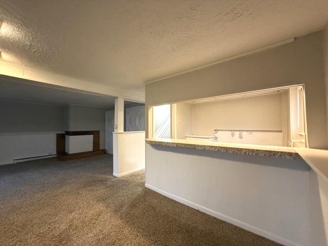 interior space featuring carpet, a textured ceiling, and a baseboard heating unit