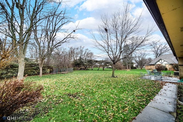 view of yard featuring a patio area