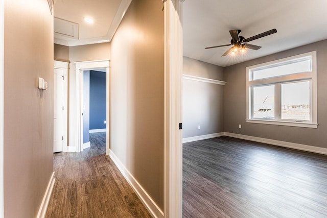 hallway featuring dark hardwood / wood-style floors