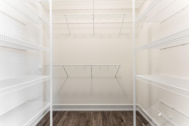 spacious closet with dark wood-type flooring