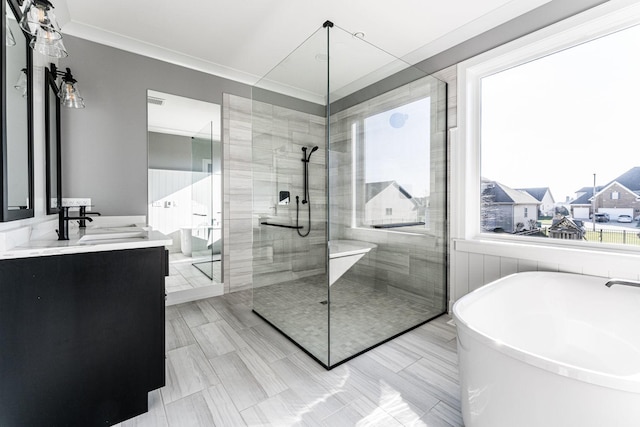 bathroom with separate shower and tub and vanity