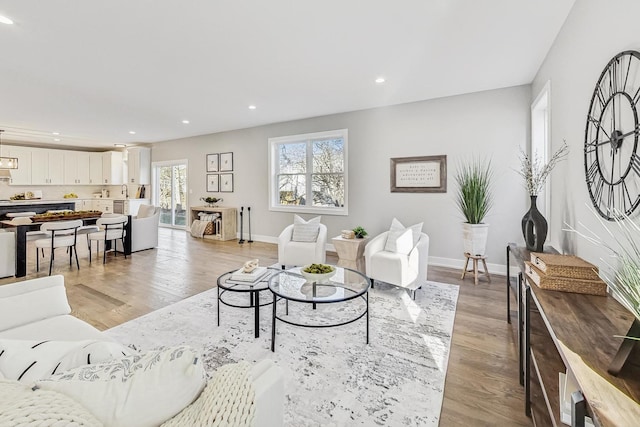 living room featuring light hardwood / wood-style floors