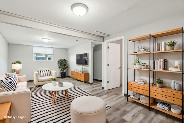 living room featuring light hardwood / wood-style flooring