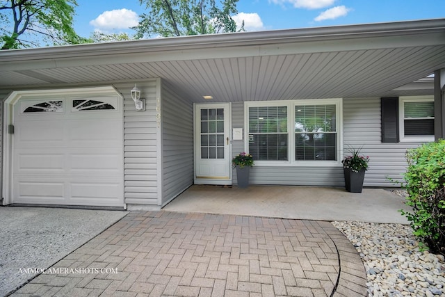 1607 Warwick Ln, Schaumburg, IL 60193 - view of garage