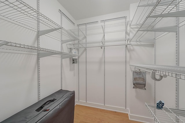 spacious closet featuring light hardwood / wood-style flooring