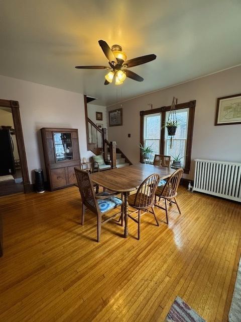 dining area with ceiling fan, radiator, and light hardwood / wood-style flooring