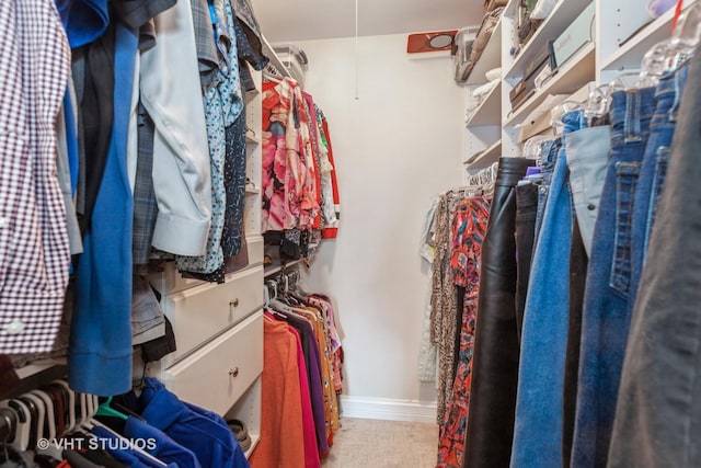 view of spacious closet