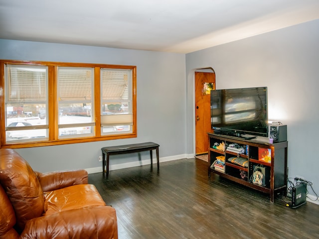 living room with dark hardwood / wood-style floors