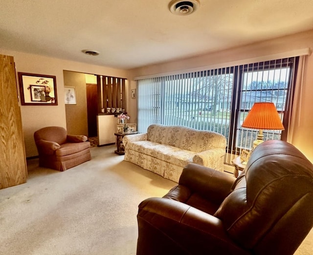 living room featuring carpet flooring