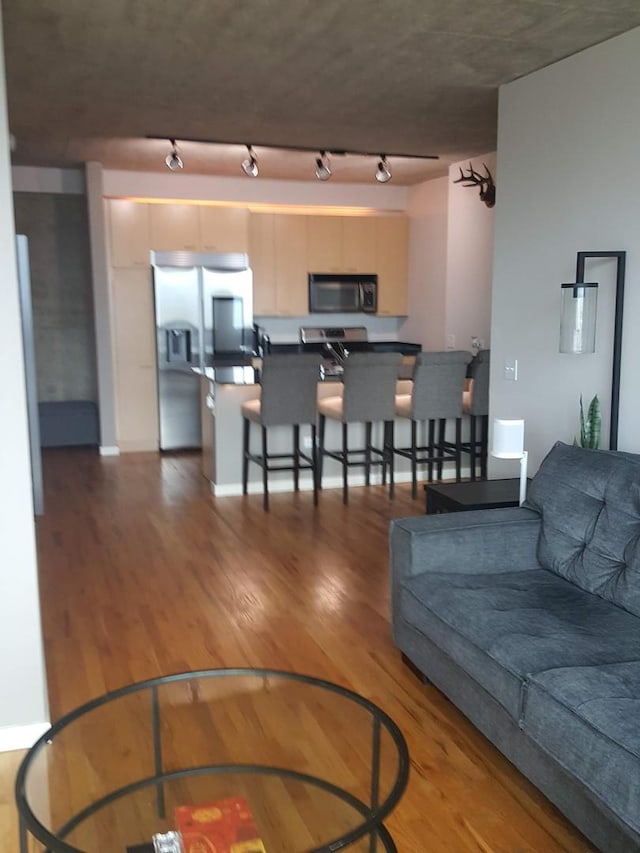 living room featuring wood-type flooring